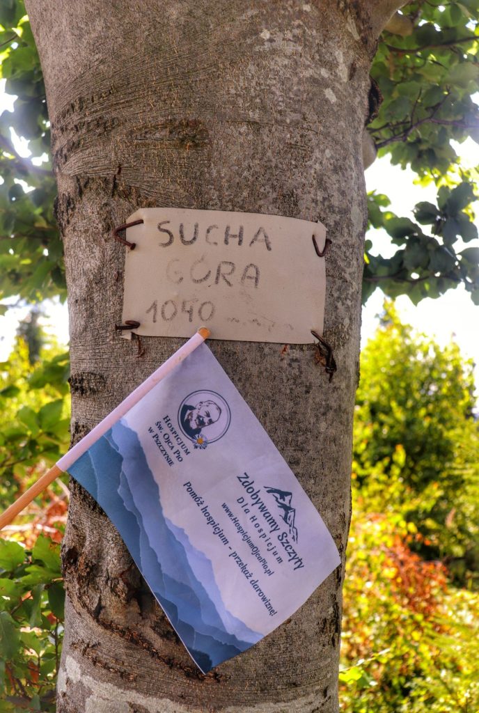 Kartka zawieszona na drzewie z napisem Sucha Góra 1045 m n.p.m. chorągiewka akcji Zdobywamy Szczyty dla Hospicjum