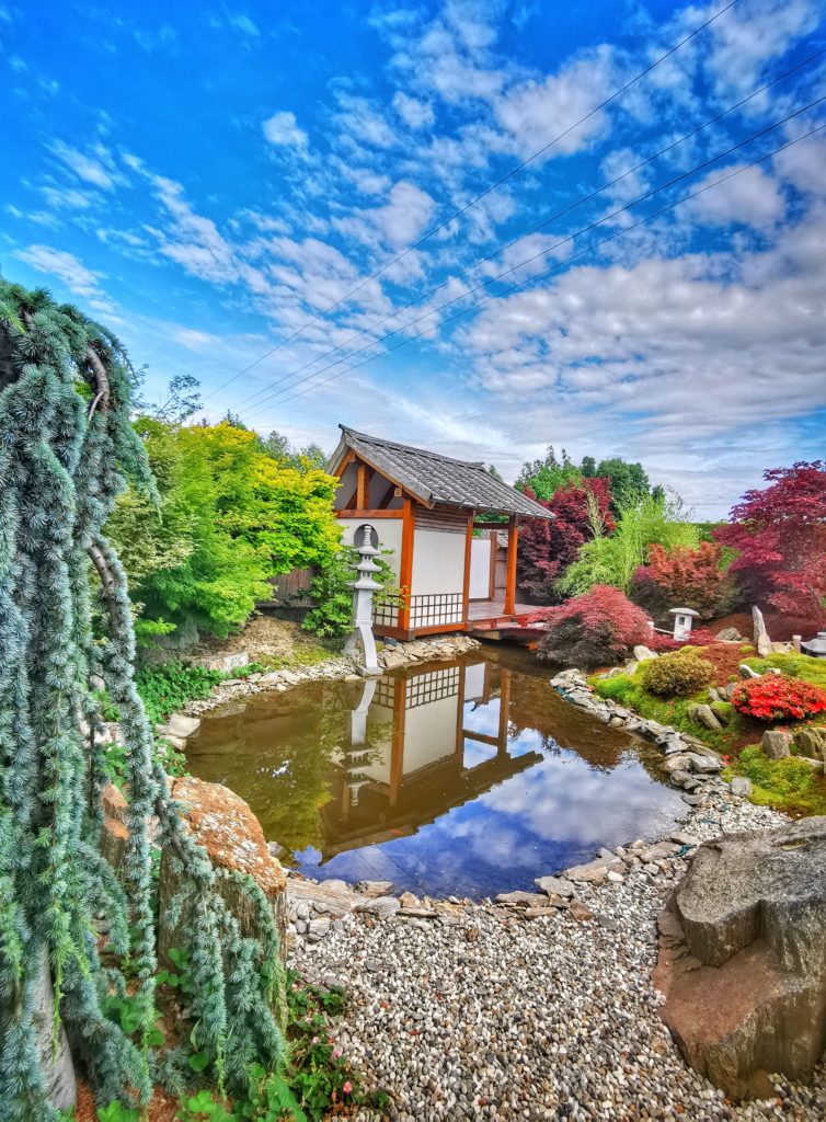Ogród Japoński - ogród do zwiedzania w Goczałkowicach, niebieskie niebo, staw