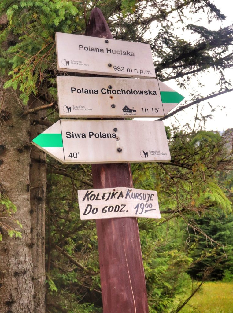 Słup, biała tablica z napisem Polana Huciska 982 m n.p.m., drogowskazy - szlak zielony