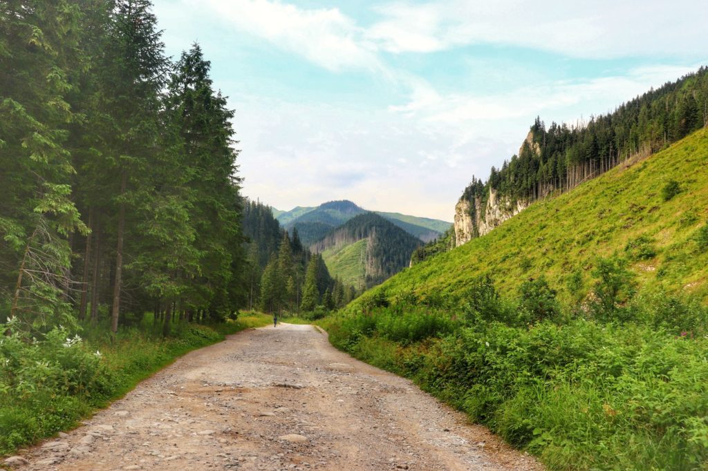 Tatrzański krajobraz, szeroka droga, Dolina Cho9chołowska, lato