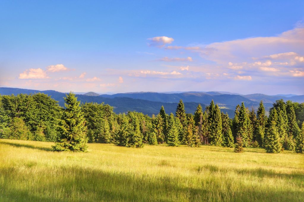 Widok rozciągający się z Polany Sucha Góra w Beskidach, młoda, zielona trawa, niebieskie niebo z białymi obłokami