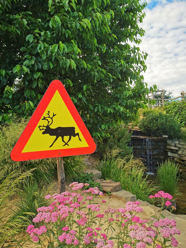 Znak ostrzegający przed jeleniami, różowe kwiaty, w tle wodospad w Ogrodach Kapias