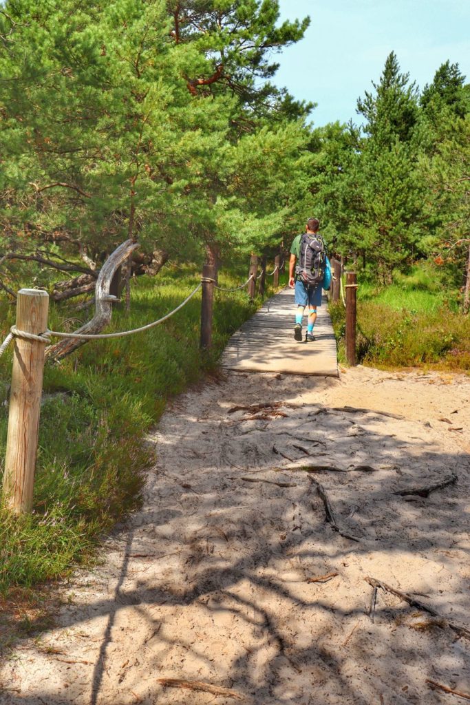 Smołdziński Las, piaszczysta ścieżka, turysta wchodzący na drewniany podest