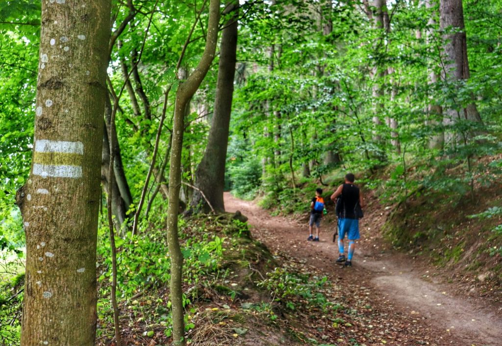 Szlak żółty w Słowińskim Parku Narodowym (Smołdzino), leśna ścieżka, turysta z dzieckiem