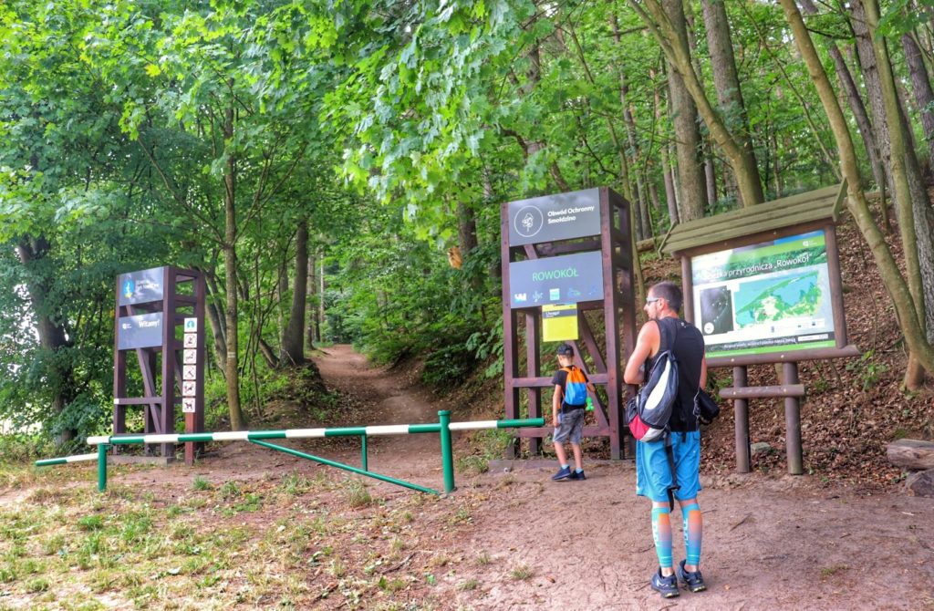Turysta z dzieckiem, wejście na szlak żółty na Rowokół w Słowińskim Parku Narodowym, droga leśna