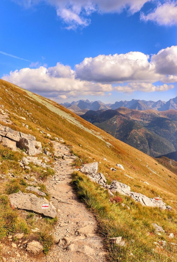 Wąska ścieżka prowadząca z Ciemniaka na Krzesanicę (szlak czerwony), widok na tatrzańskie szczyty