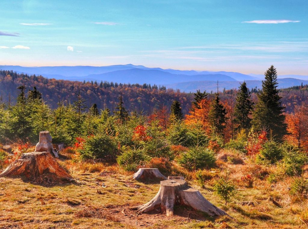 Jesienny krajobraz w drodze na Klimczok (Beskid Śląski) - okolice trasy rowerowej GACIOK