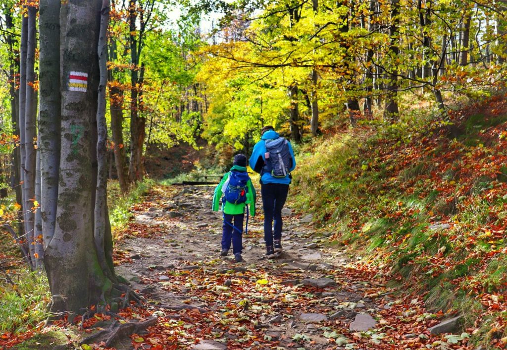 Szeroka, kamienista droga leśna, turysta z dzieckiem idący z Szyndzielni czerwono - żółtym szlakiem na Klimczok, jesienne popołudnie
