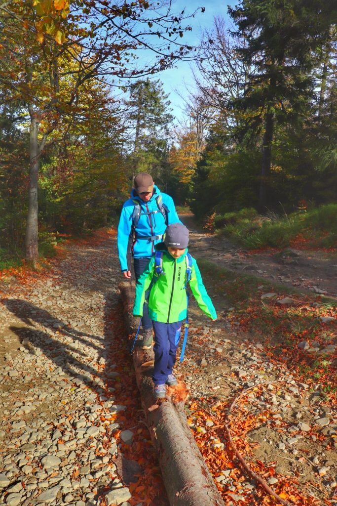 Turysta z dzieckiem idący po pniu zwalonego drzewa, jesień, czerwony szlak na Klimczok