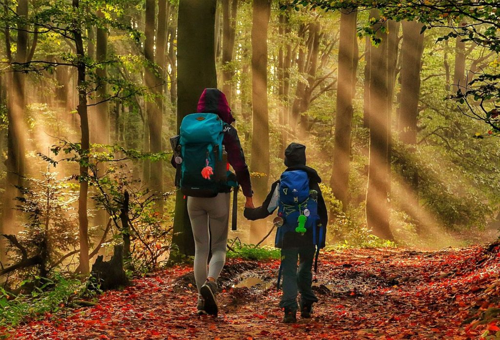 Turystka z dzieckiem idąca szeroką leśną ścieżką, jesienny poranek, promienie słońca przedzierające się przez drzewa