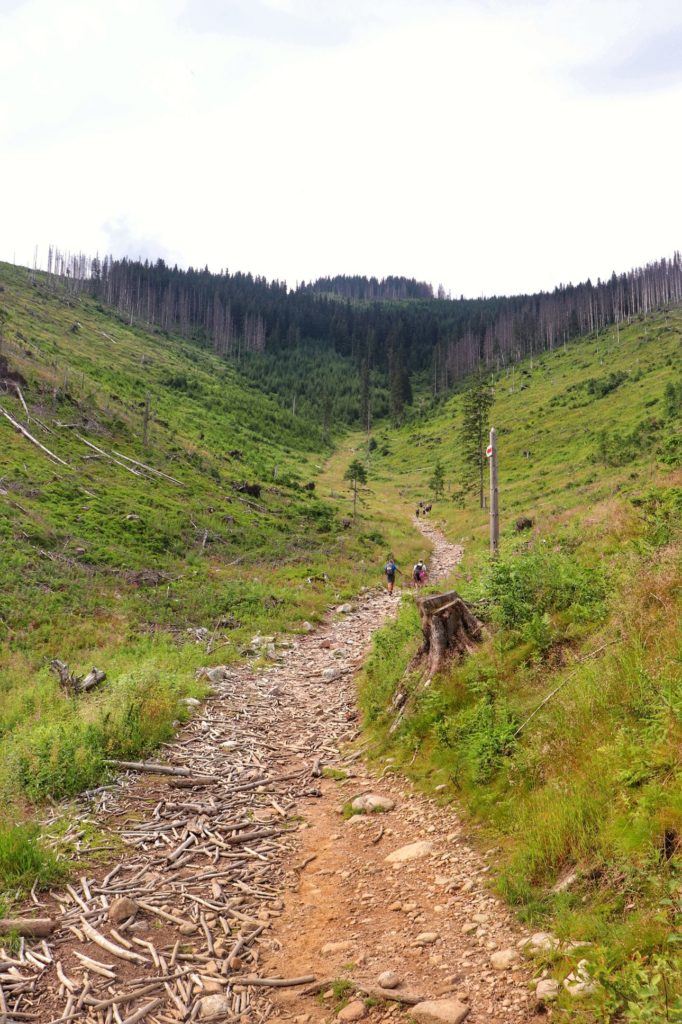 Droga - wąska, szlak czerwony w Tatrach