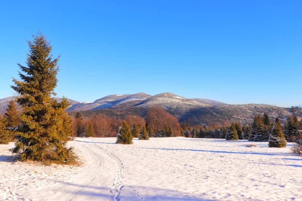Krajobraz górski, zaśnieżona Polana Sucha Góra w Beskidzie Żywieckim, niebieskie niebo