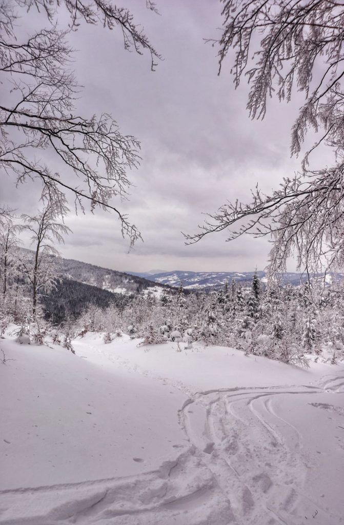 Podejście niebieskim szlakiem na Jałowiec w Beskidach, zima