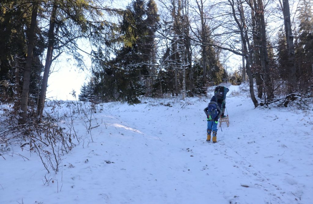 Rozwidlenie - leśna ścieżka, turysta z dzieckiem skręcający w prawo