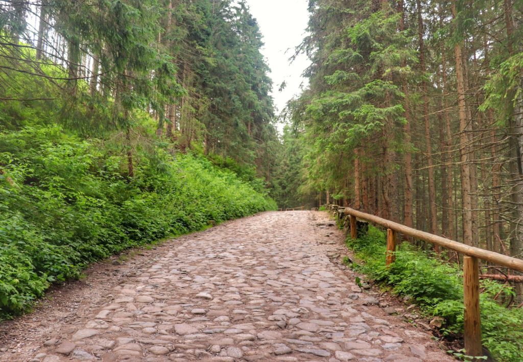Szeroka, brukowana droga leśna - Dolina Chochołowska