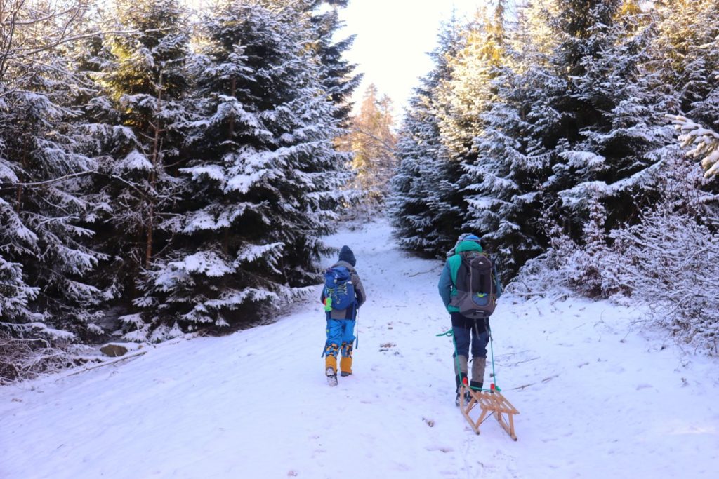 Szeroka zaśnieżona droga leśna, pokryte śniegiem drzewa, turysta ciągnący drewniane sanki, dziecko
