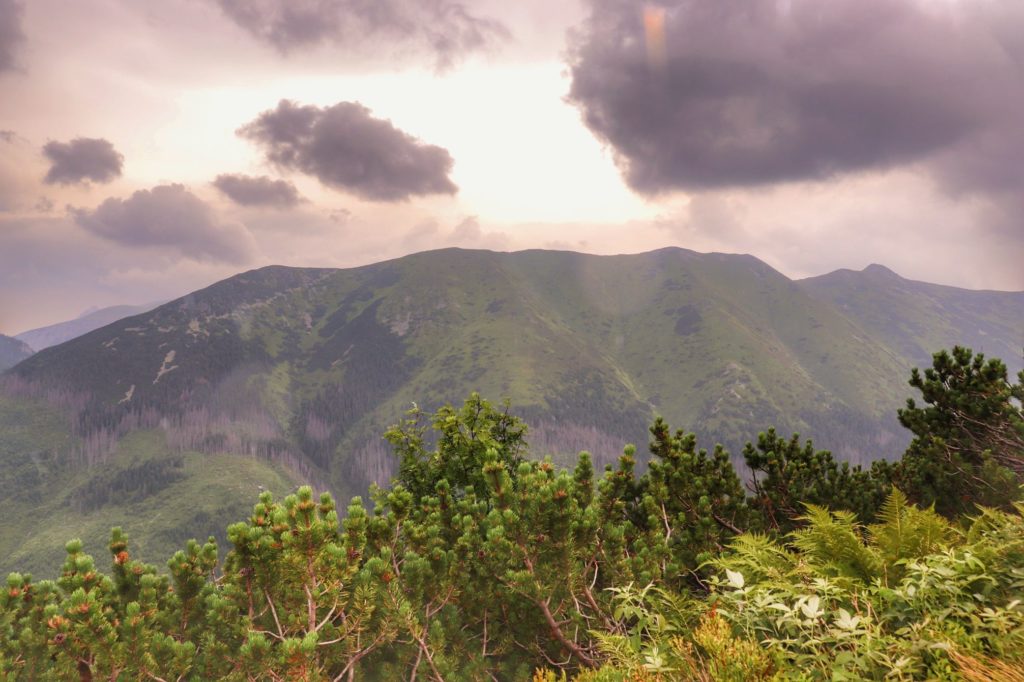 Tatrzański krajobraz z szlaku czerwonego na Trzydniowiański Wierch