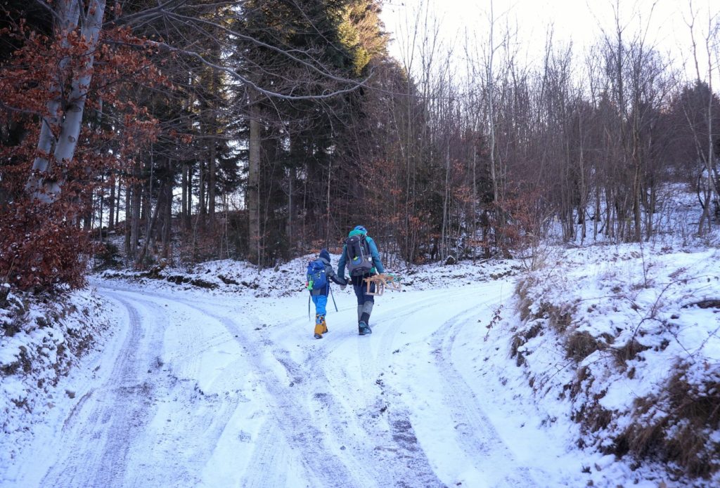 Turysta z dzieckiem skręcający w prawo na leśnej, zaśnieżonej drodze w Milówce