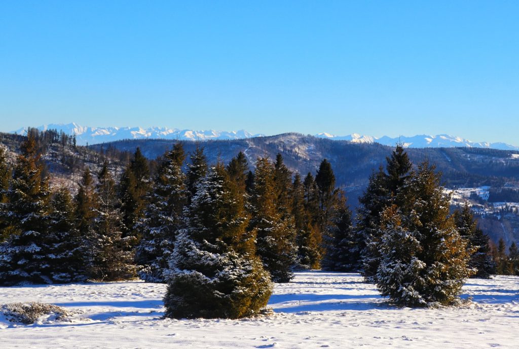 Widok na zaśnieżone Tatry z Polany Sucha Góra