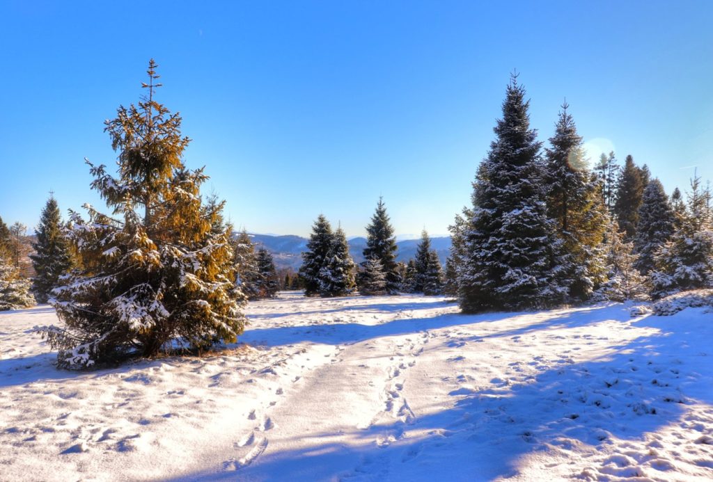 Zimowa Polana Sucha Góra w Beskidach, słoneczny dzień