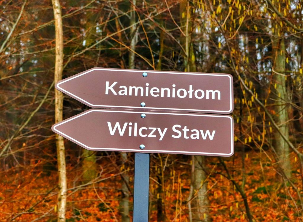 Brązowe tabliczki wskazujące kierunek trasy do Kamieniołomu w Kozach oraz nad Wilczy Staw