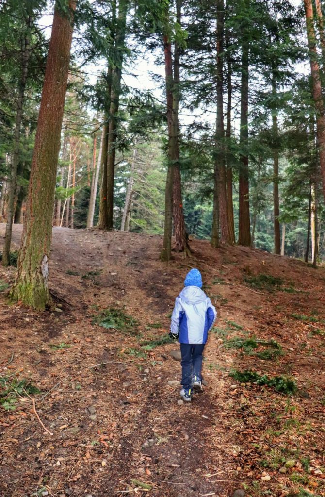 Dziecko idące przez las do Wilczego Stawu