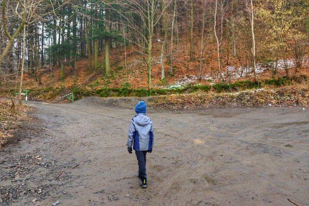 Dziecko idące szeroką drogą leśną w kierunku Wilczego Stawu w Kozach