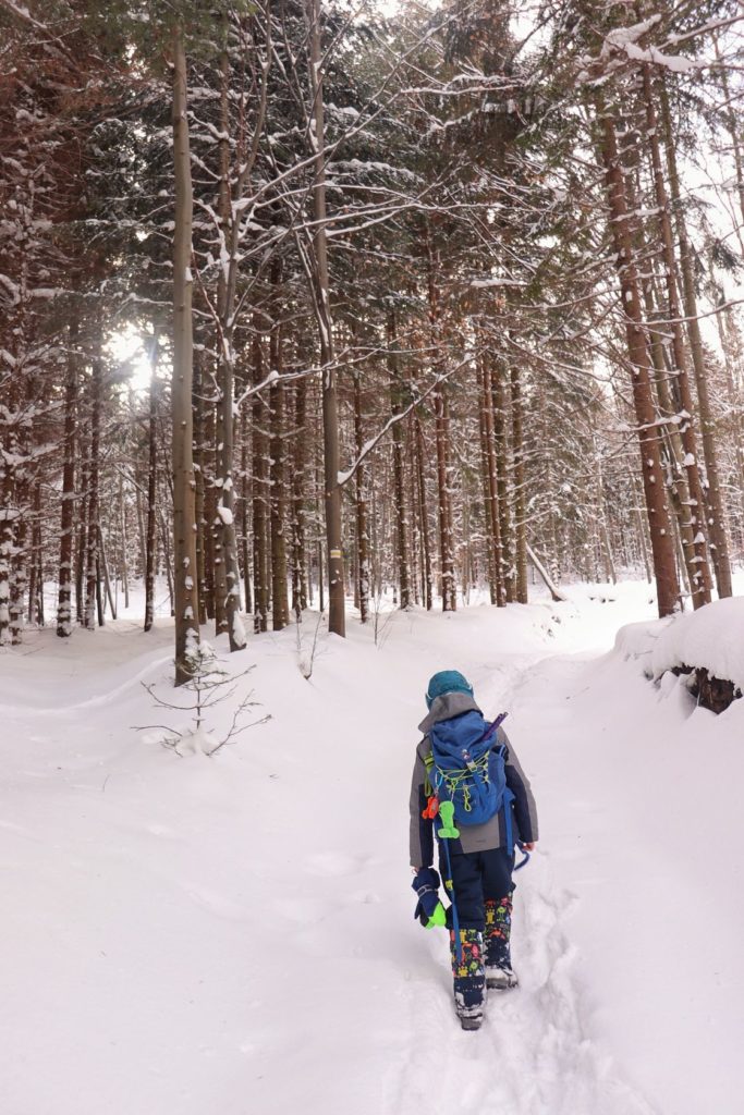 Dziecko na szlaku górskim w Beskidach, zima, beskidzki las