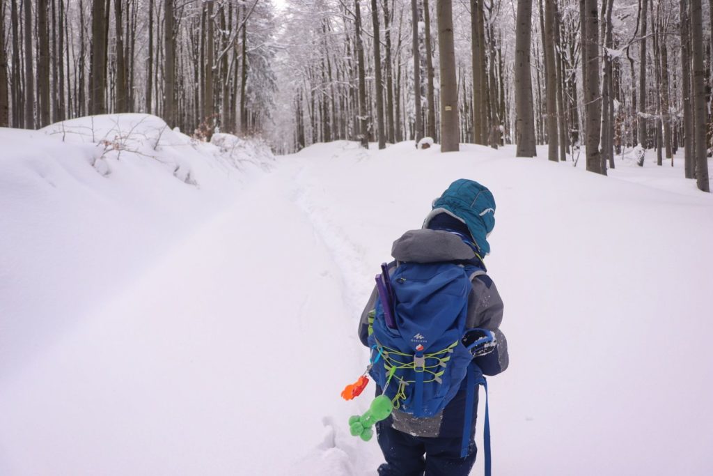 Dziecko, szeroka zaśnieżona droga leśna (las bukowy)