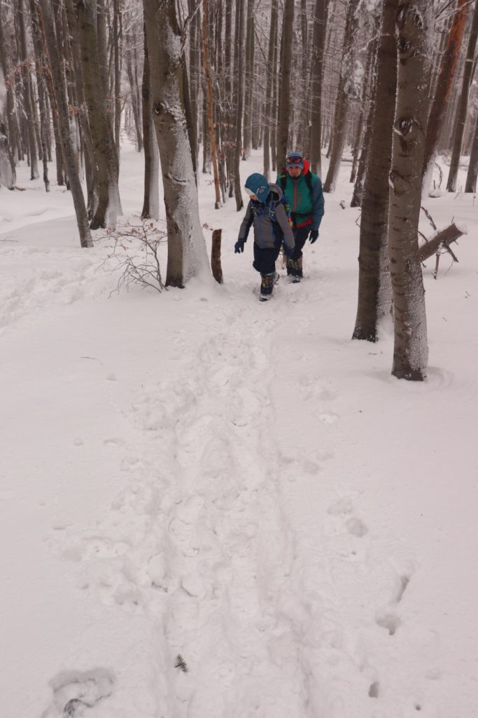 Dziecko, turysta idący leśną zaśnieżoną ścieżką