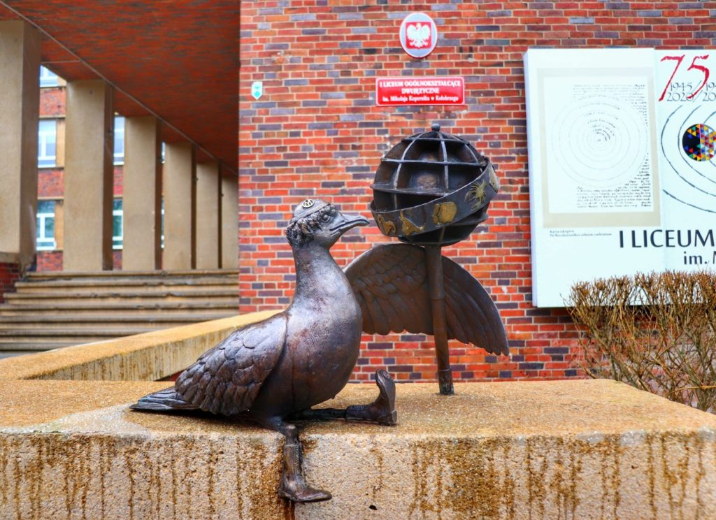 Marian Kopernikański - pomnik mewy w Kołobrzegu