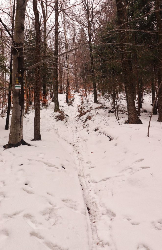 Pnąca się w górę ścieżka na zielonym szlaku w Kozach, śnieg