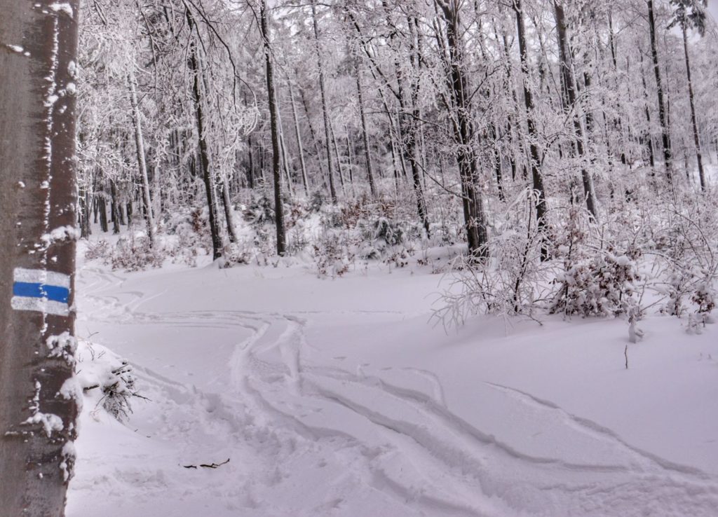 Szeroka droga leśna - niebieski szlak na Jałowiec zimą