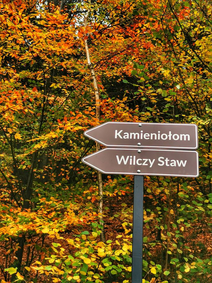 Tabliczki w kolorze brązowym wskazujące kierunek trasy do Kamieniołomu w Kozach oraz nad Wilczy Staw - Beskid Mały