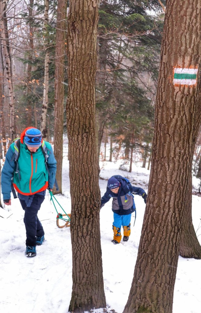 Turysta z dzieckiem idący w górę szlaku zielonego - Kozy, zimowe popołudnie