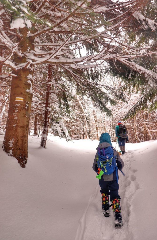 Turysta z dzieckiem na żółtym szlaku na Jałowiec zimą, leśna ścieżka