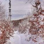 Widok rozciągający się z żółtego szlaku na Jałowiec, zima