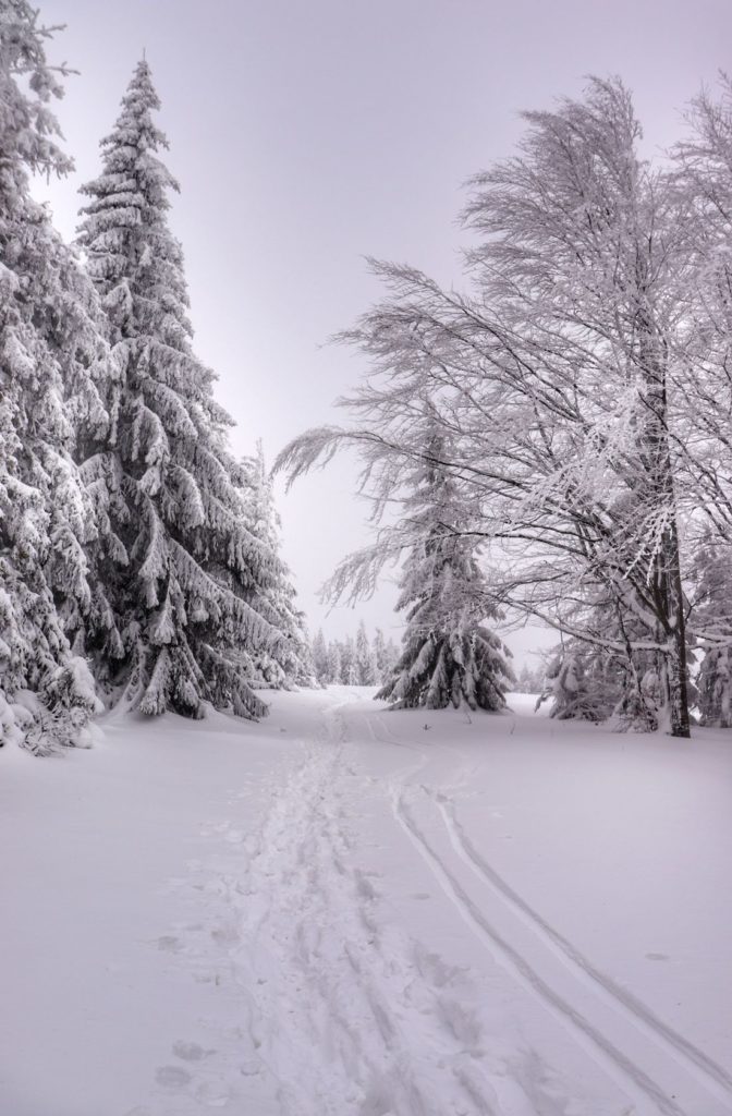 Zaśnieżona ścieżka prowadząca na Jałowiec - szlak niebieski zimą