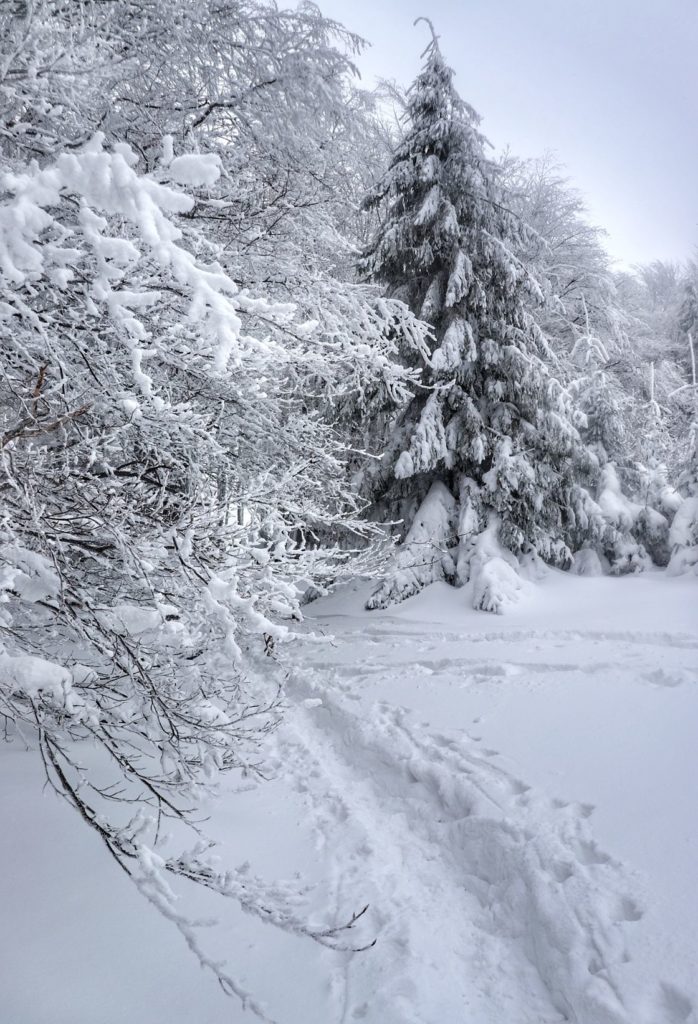 Zimowy krajobraz w Beskidach