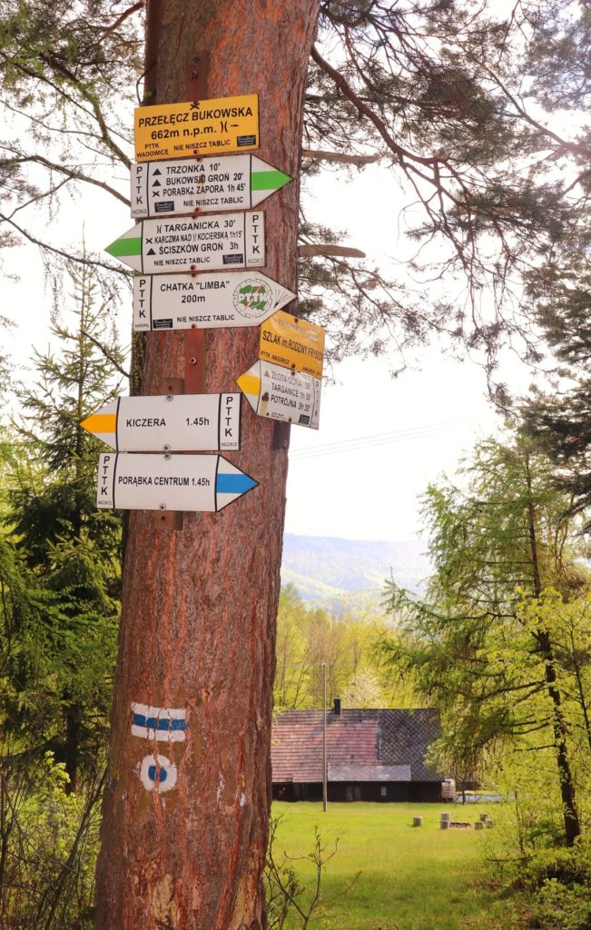 Beskid Mały - Przełęcz Bukowska 662 m n.p.m. - żółta tablica oznaczająca przełęcz wisząca na drzewie, drogowskazy