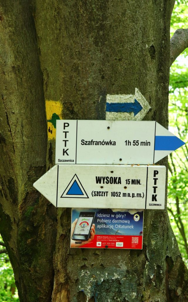 Drogowskaz wiszący na drzewie opisujący niebieski szlak na szczyt Wysoka czas przejścia 15 minut