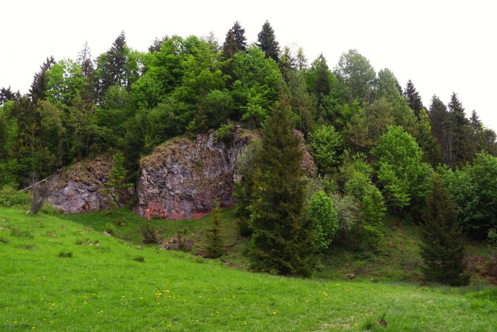 Dubantowska Polana w Wąwozie Homole, skały, wiosenna zieleń drzew