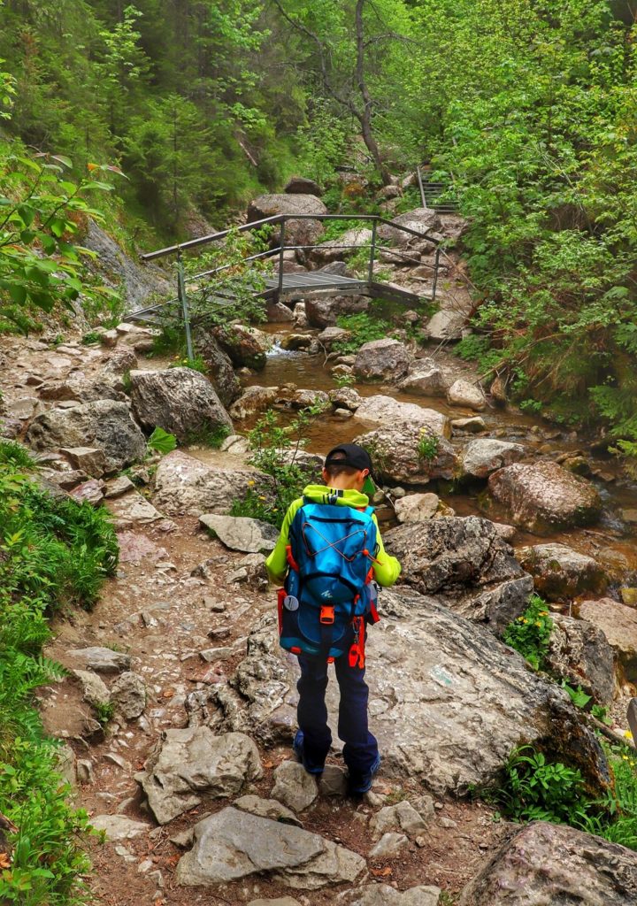 Dziecko w Wąwozie Homole w Małych Pieninach, skały, mostek nad Potokiem Kamionka, w oddali metalowe schody