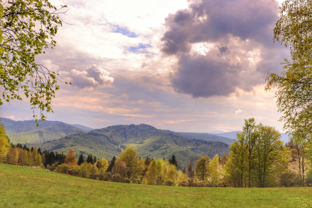 Krajobraz górski rozciągający się z Trzonki w Beskidzie Małym, zachmurzone niebo, zielone drzewa