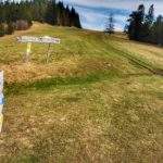 Pod Huściawą, Małe Pieniny, polana, drogowskazy