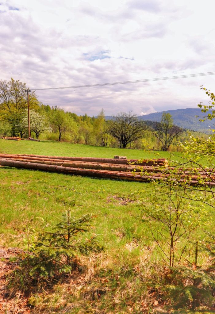 Polana na szlaku zielonym pomiędzy Przełęczą Bukowską, a Trzonką, wiosenne drzewa, białe chmury na niebie