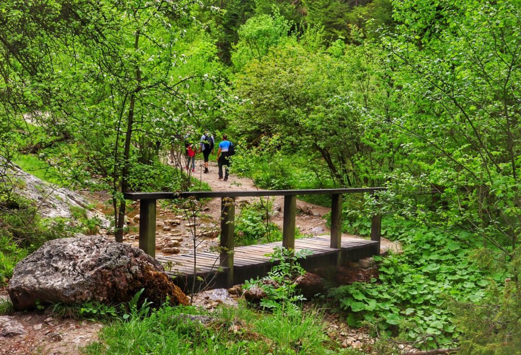 Rezerwat Wąwóz Homole, drewniany mostek, soczysta zieleń drzew, skały, w oddali widoczni turyści