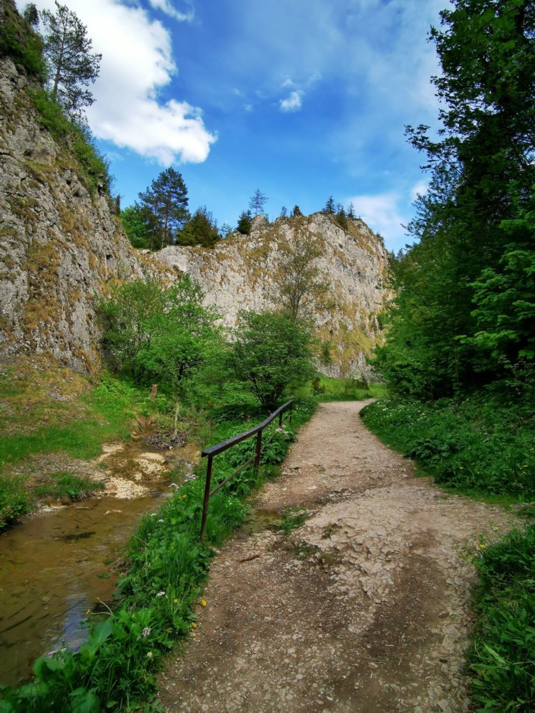 Rezerwat przyrody Wąwóz Homole w Małych Pieninach, utwardzona droga na zielonym szlaku idąca między skalnymi ścianami