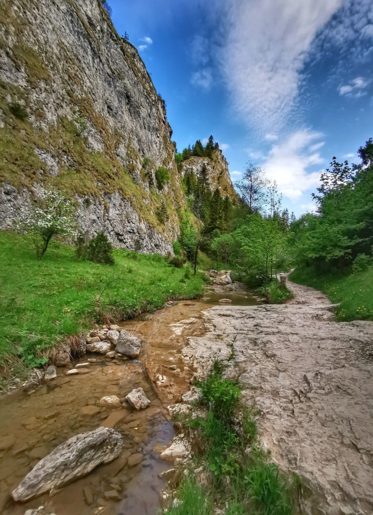 Skalna ścieżka w Wąwozie Homole w Pieninach, wysokie ściany skalne, potok Kamionka, niebieskie niebo
