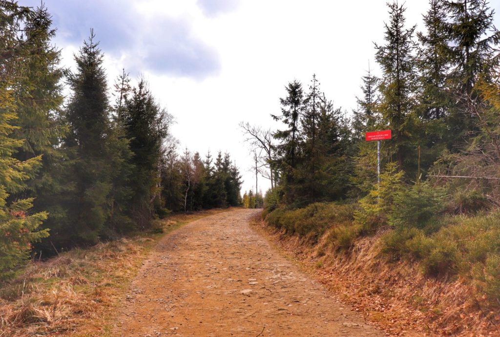 Szeroka droga na niebieskim szlaku na Czupel, po prawej stronie szlaku czerwona tablica z napisem OBSZAR NATURA 2000 BESKID MAŁY